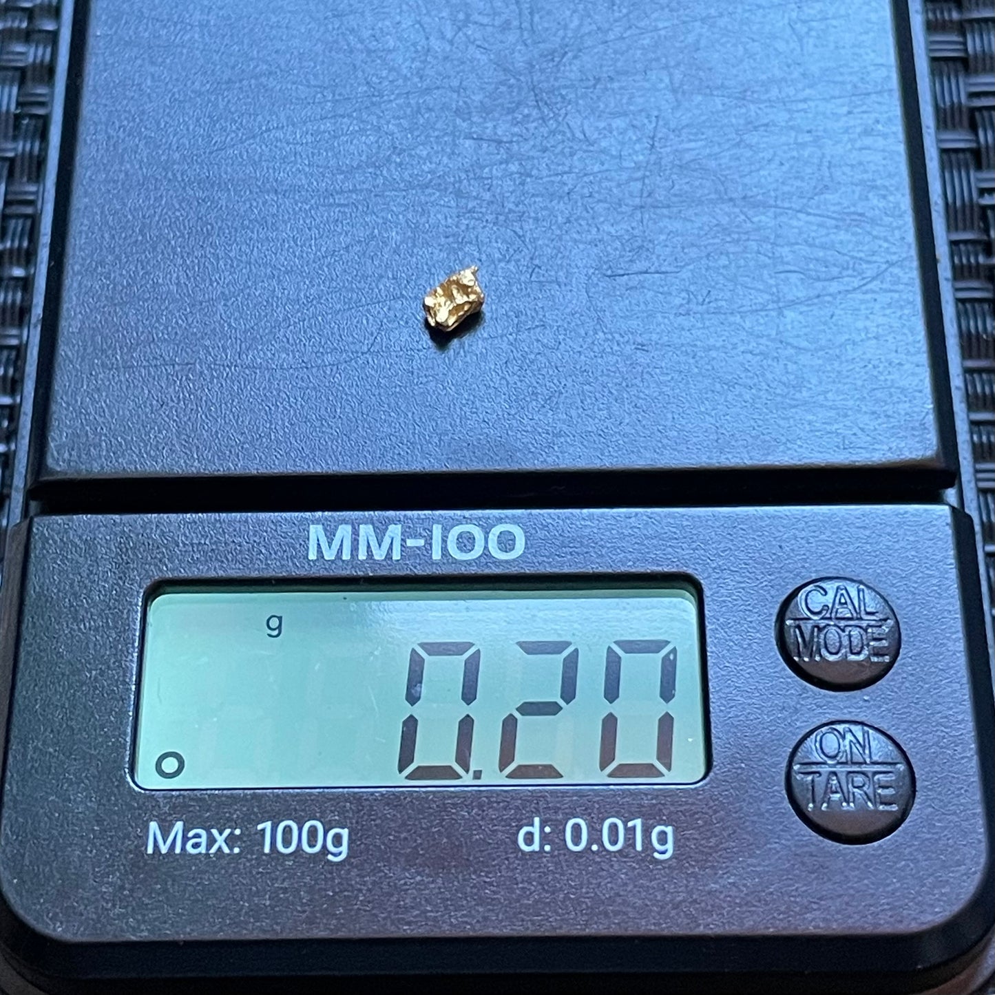 Natural 0.20 gram Hand Prospected West Australian Gold Nugget