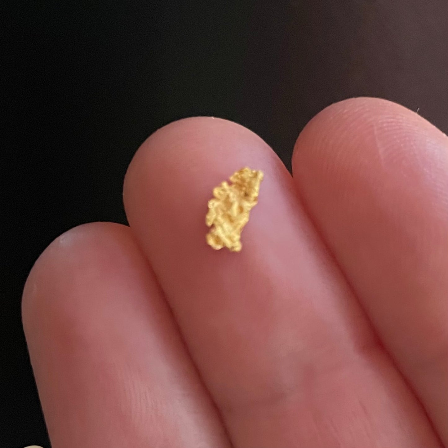 Natural Gold Nugget 0.2 Gram