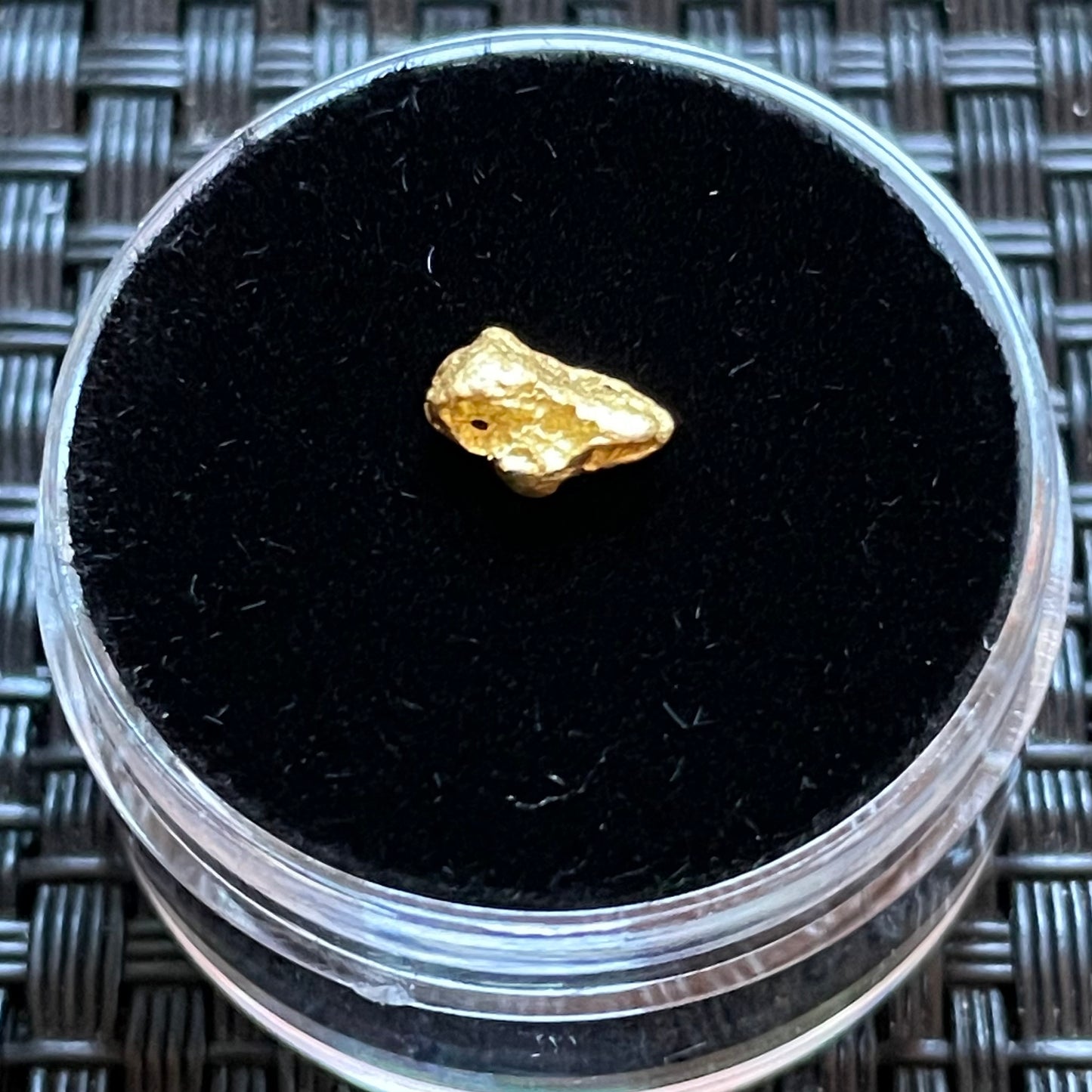 Natural 0.48 gram Hand Prospected West Australian Gold Nugget