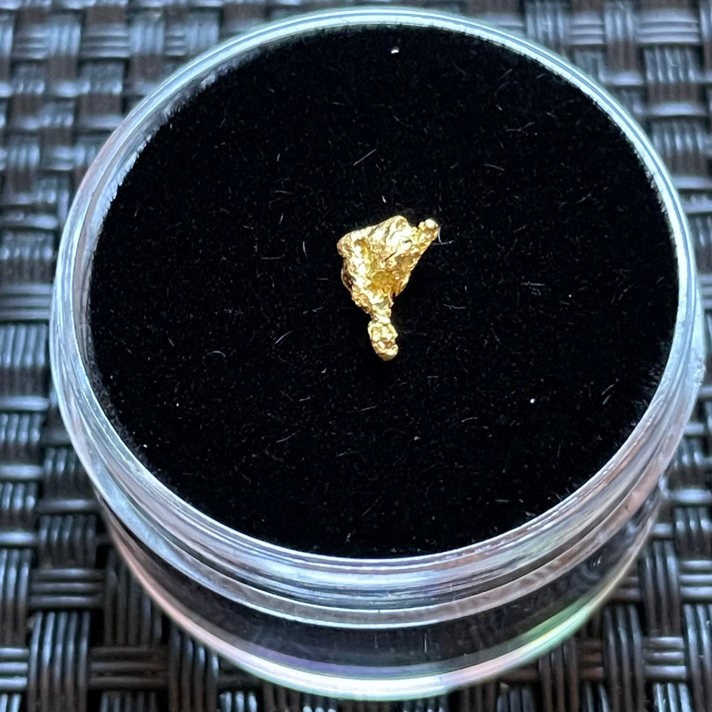 Natural 0.22 gram Hand Prospected West Australian Gold Nugget