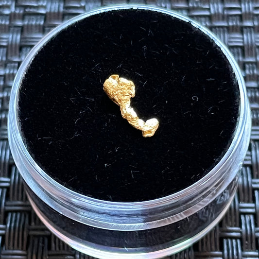 Natural 0.25 gram Hand Prospected West Australian Gold Nugget