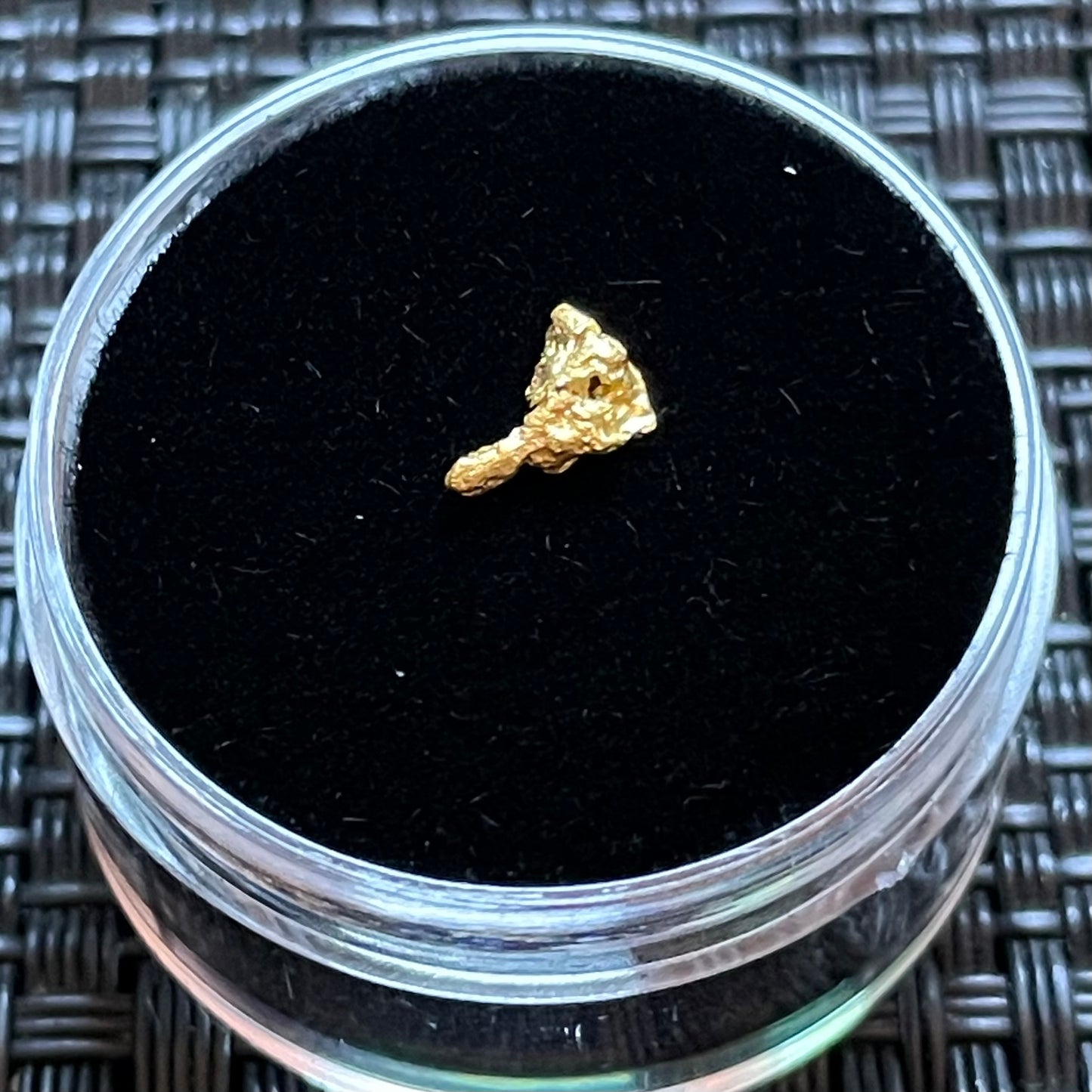 Natural 0.22 gram Hand Prospected West Australian Gold Nugget