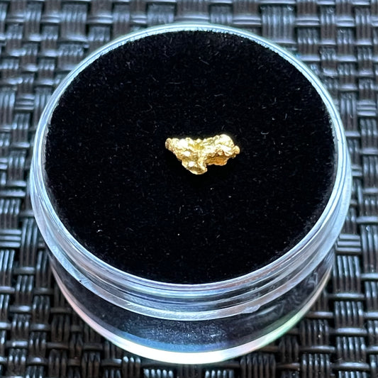 Natural 0.21 gram Hand Prospected West Australian Gold Nugget