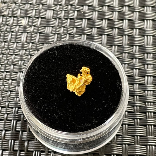 0.77 Gram Natural Gold Nugget