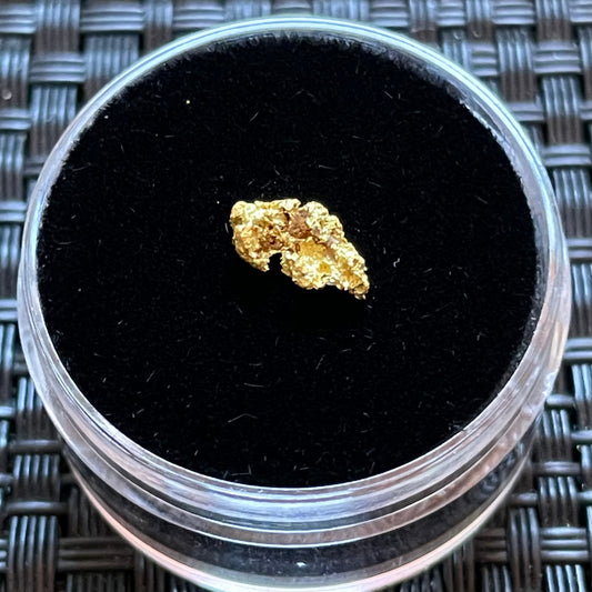 Natural 0.33gram Hand Prospected West Australian Gold Nugget