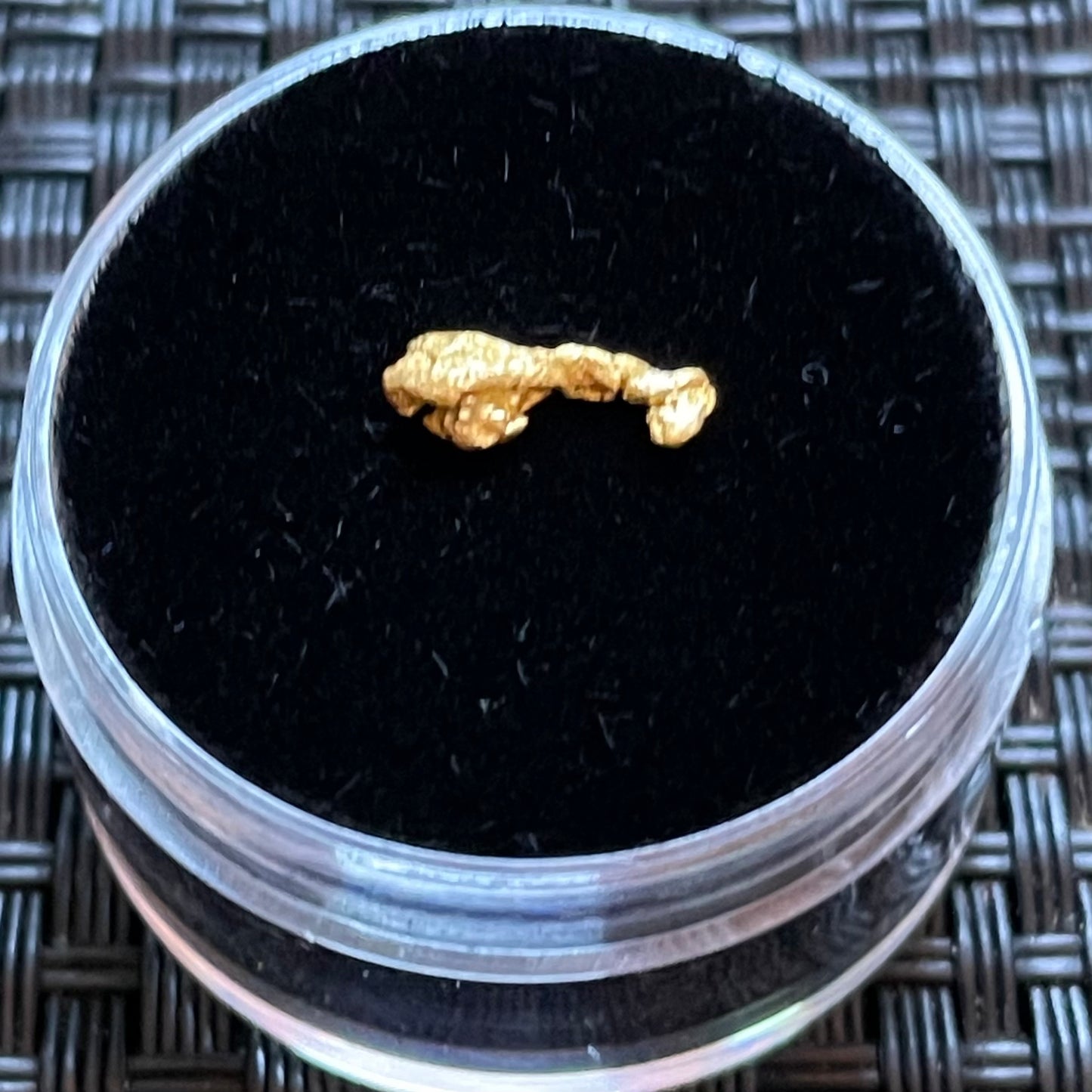 Natural 0.25 gram Hand Prospected West Australian Gold Nugget