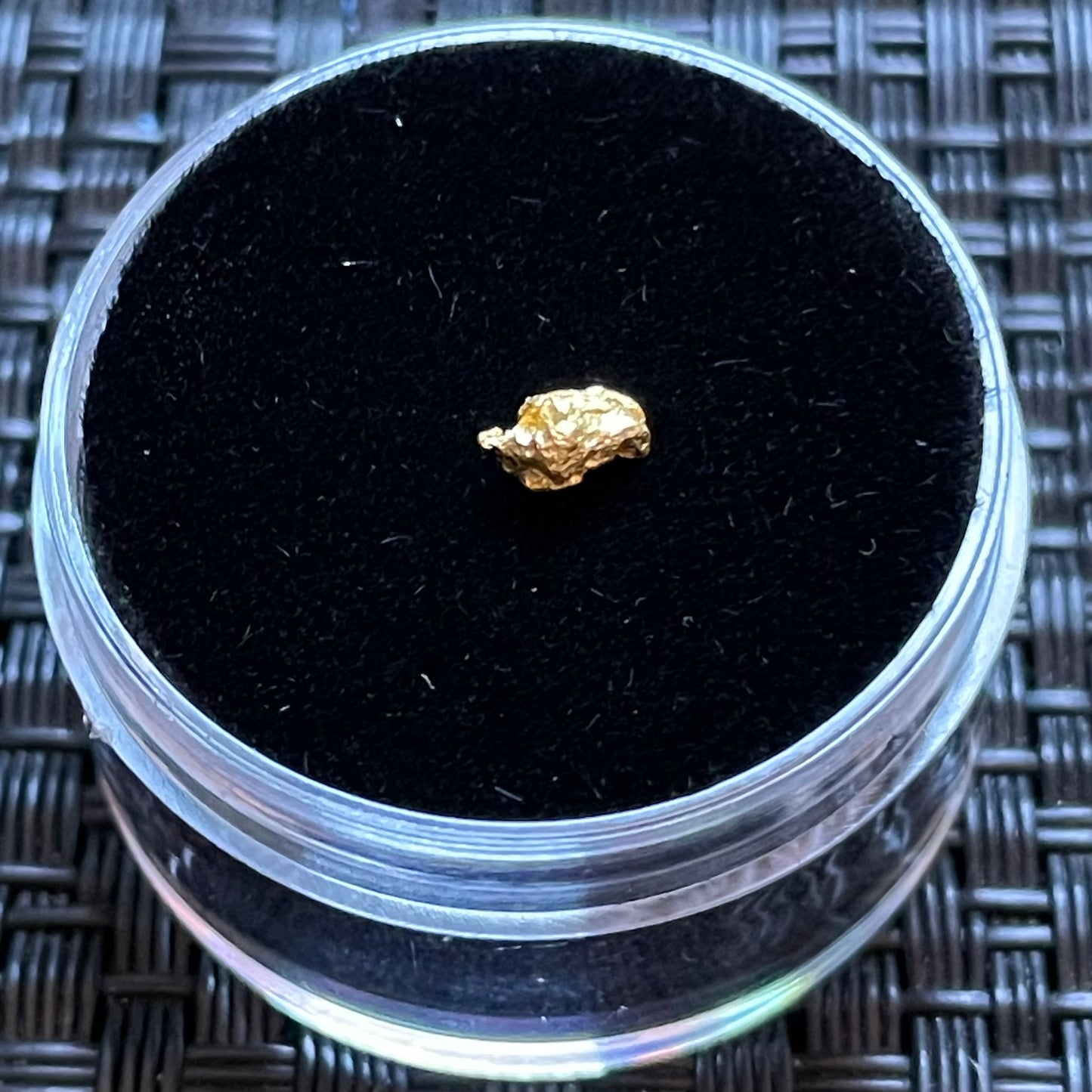 Natural 0.20 gram Hand Prospected West Australian Gold Nugget