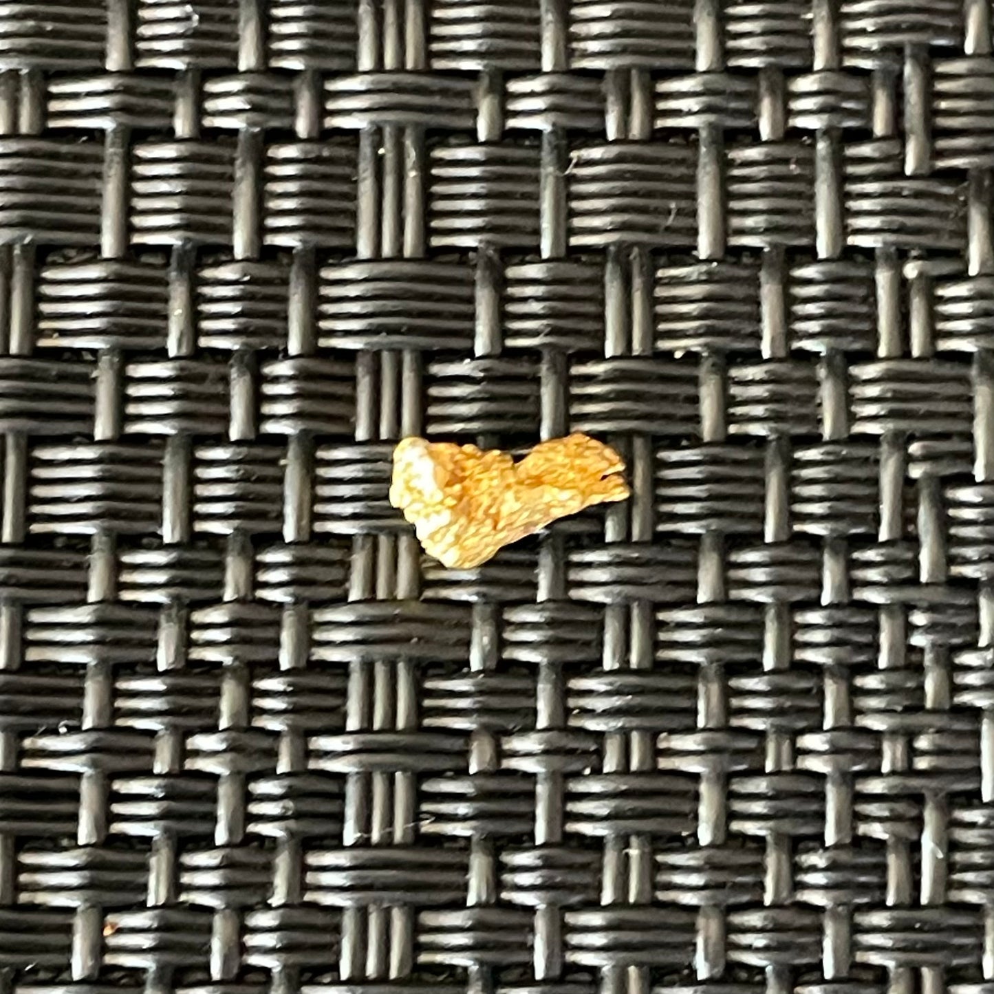 0.33 gram Natural Gold Nugget