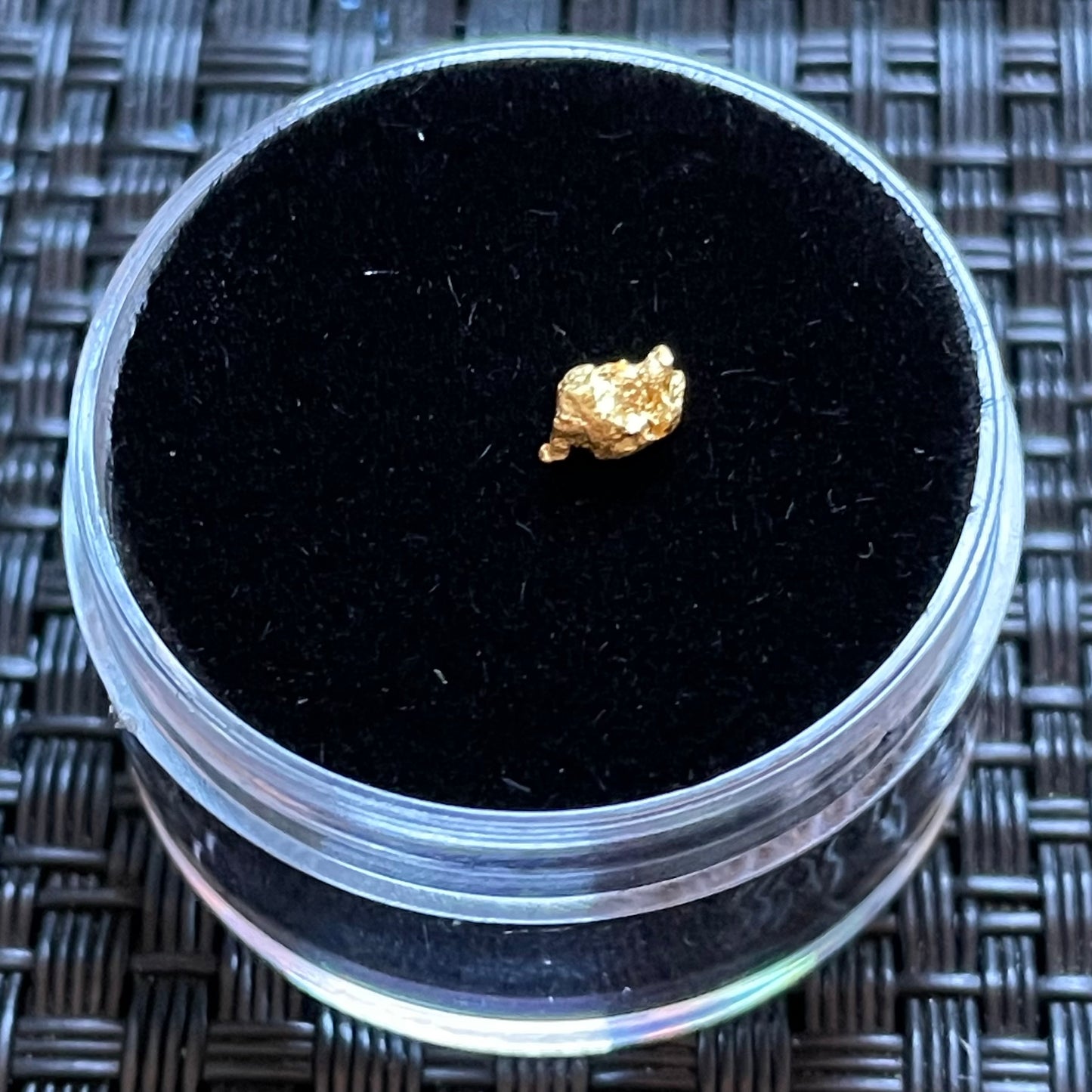 Natural 0.20 gram Hand Prospected West Australian Gold Nugget