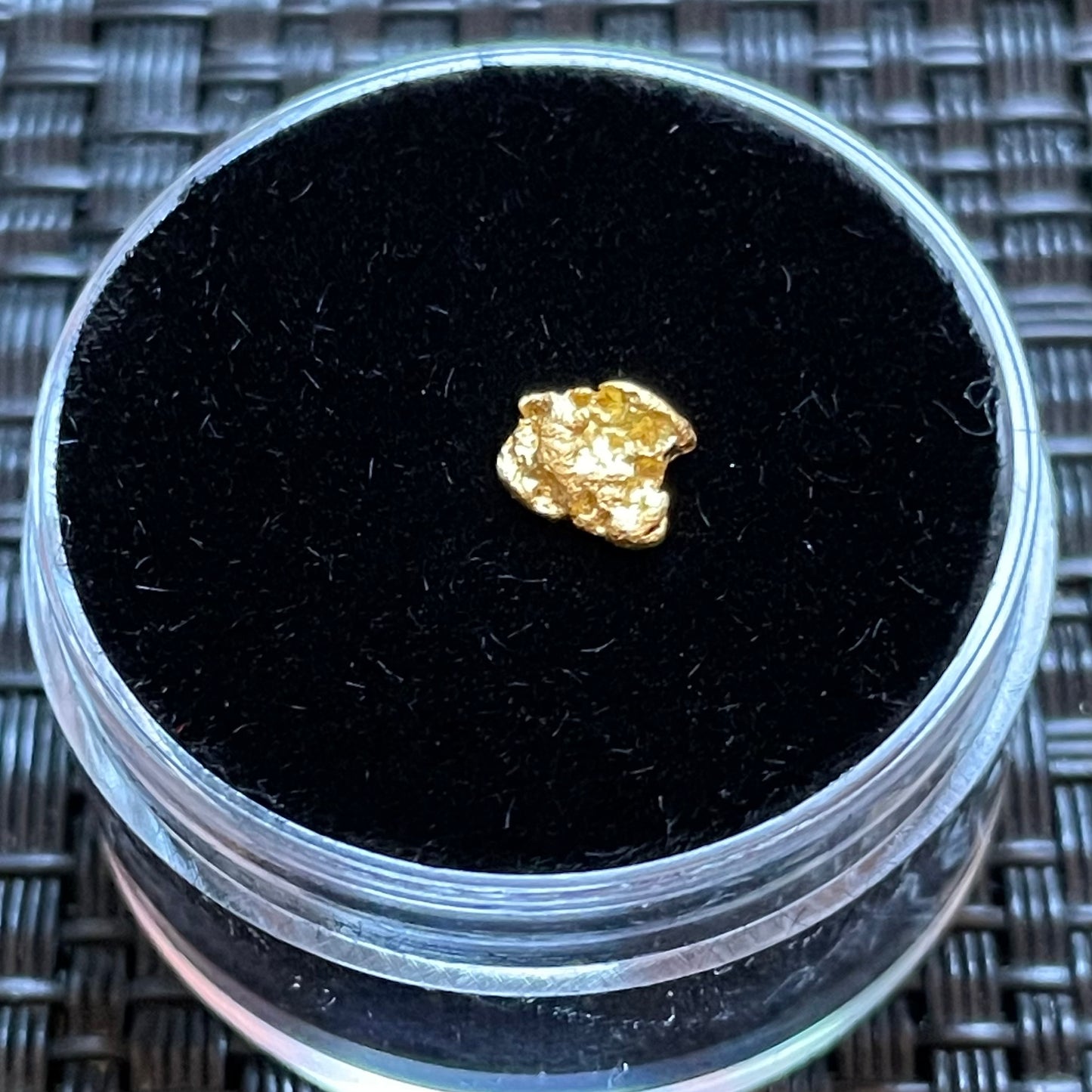 Natural 0.26 gram Hand Prospected West Australian Gold Nugget