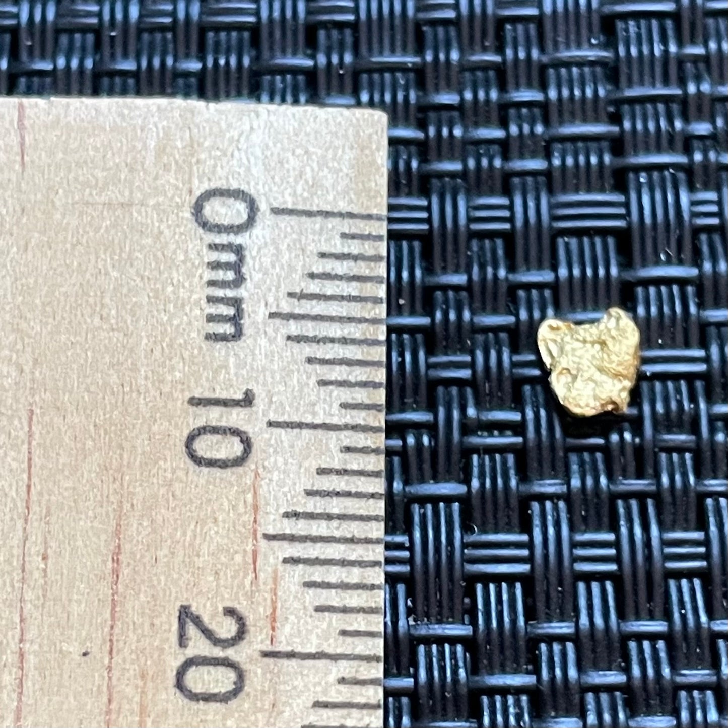 Natural 0.26 gram Hand Prospected West Australian Gold Nugget