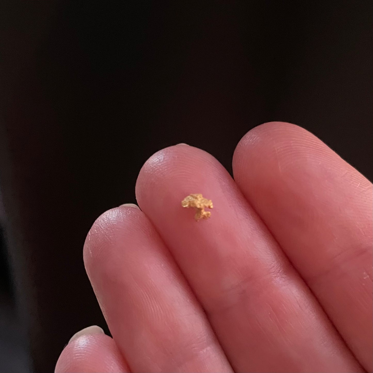 Natural Gold Nugget 0.2 Gram