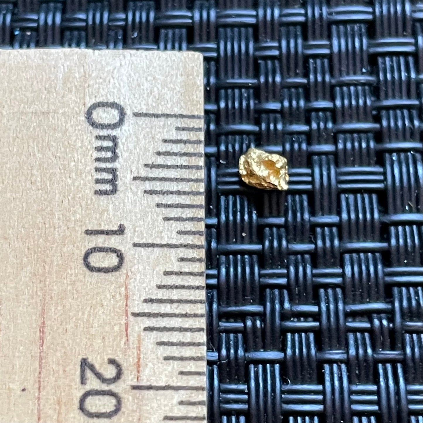 Natural 0.20 gram Hand Prospected West Australian Gold Nugget