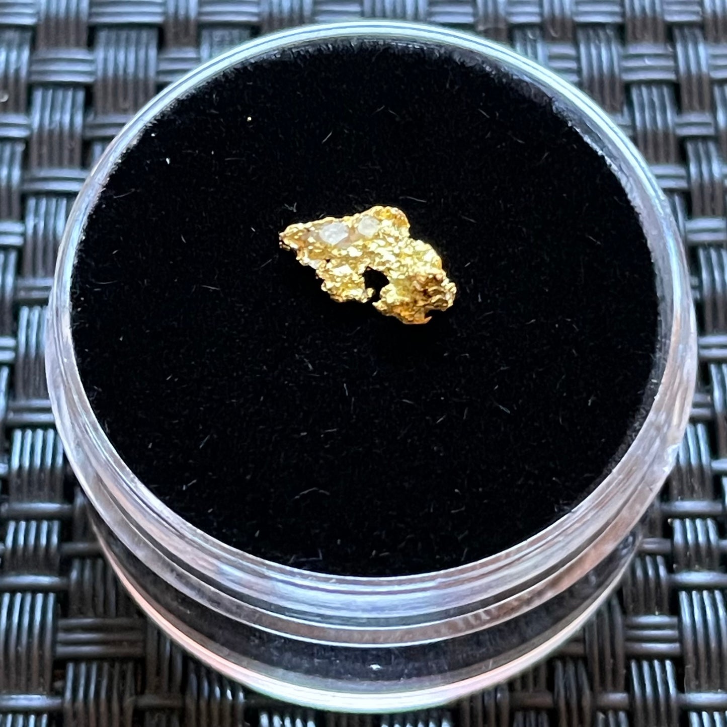Natural 0.33gram Hand Prospected West Australian Gold Nugget
