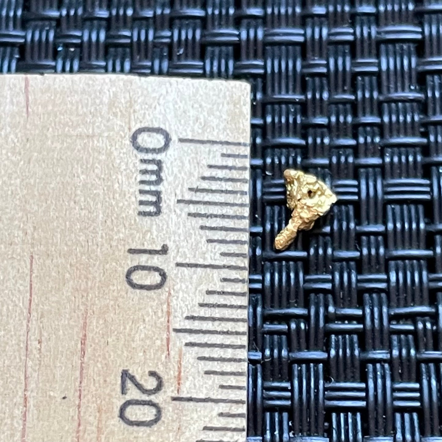 Natural 0.22 gram Hand Prospected West Australian Gold Nugget