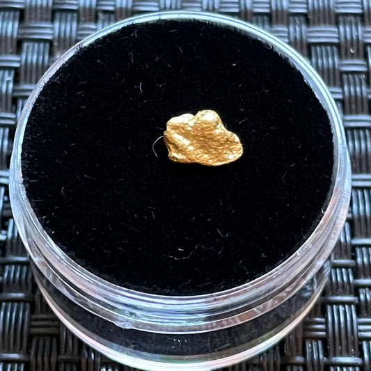 Natural 0.48 gram Hand Prospected West Australian Gold Nugget