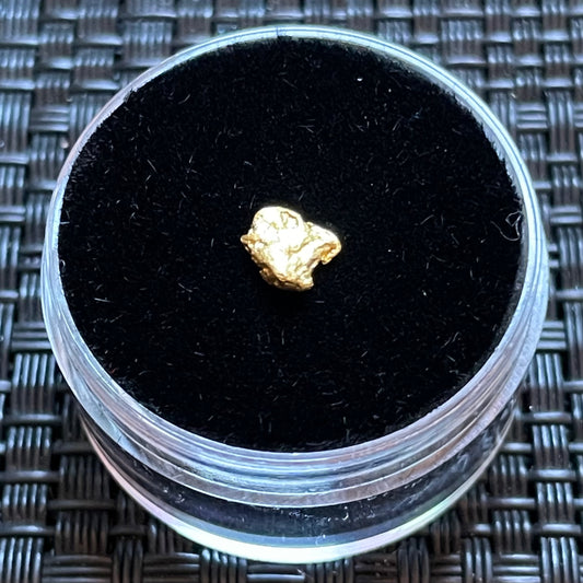 Natural 0.26 gram Hand Prospected West Australian Gold Nugget