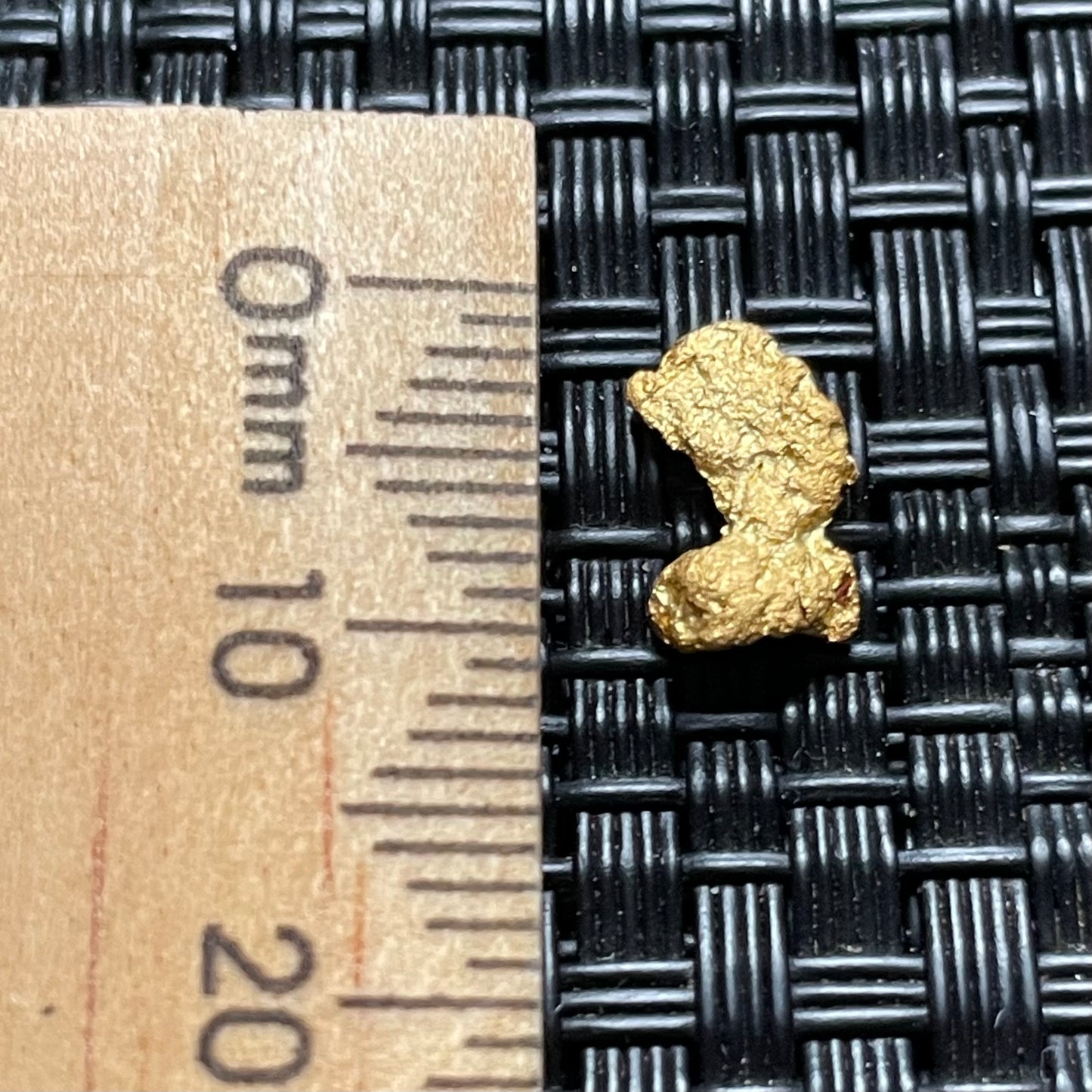 Natural 0.80 gram Hand Prospected West Australian Gold Nugget