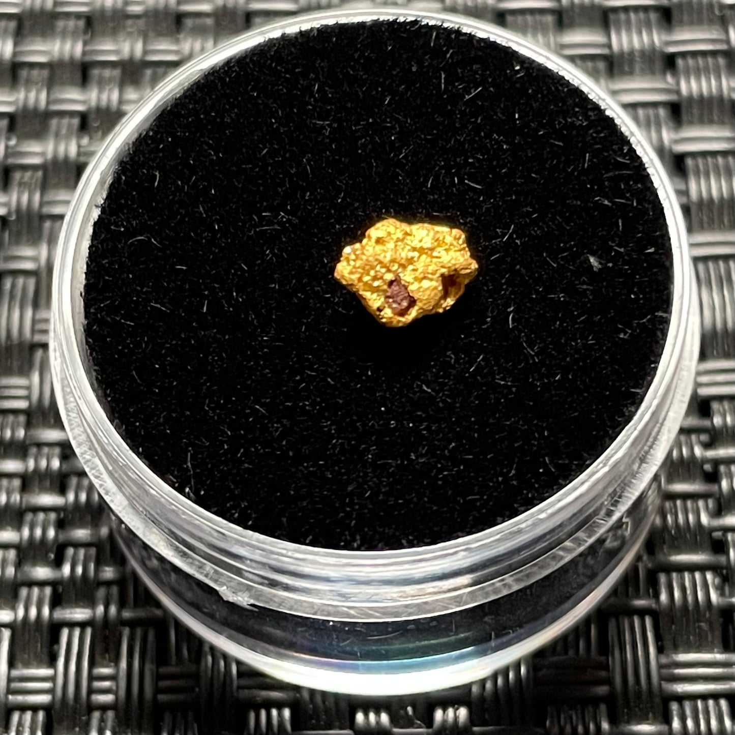 Natural 0.50 gram Hand Prospected West Australian Gold Nugget