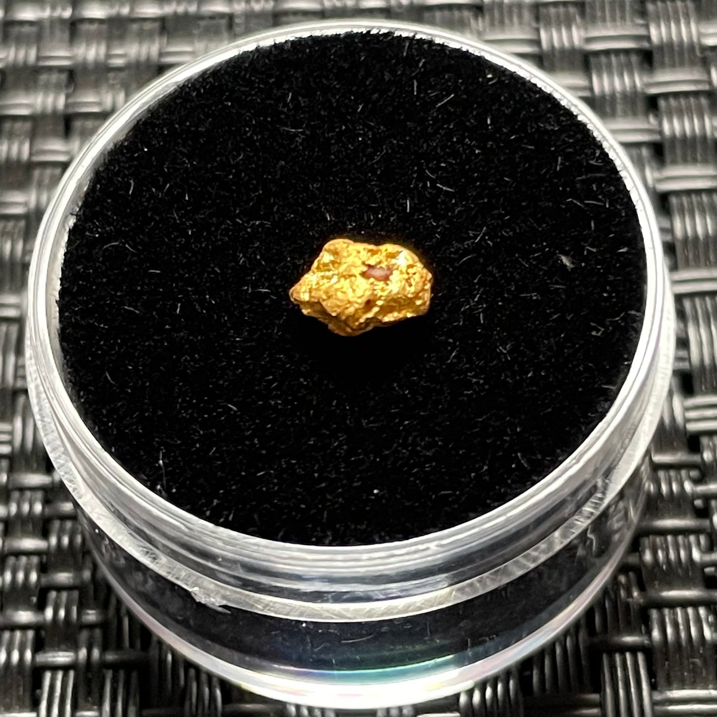 Natural 0.50 gram Hand Prospected West Australian Gold Nugget