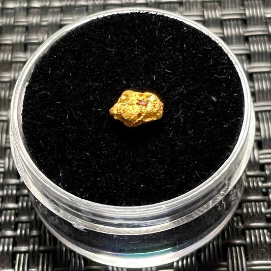 Natural 0.50 gram Hand Prospected West Australian Gold Nugget