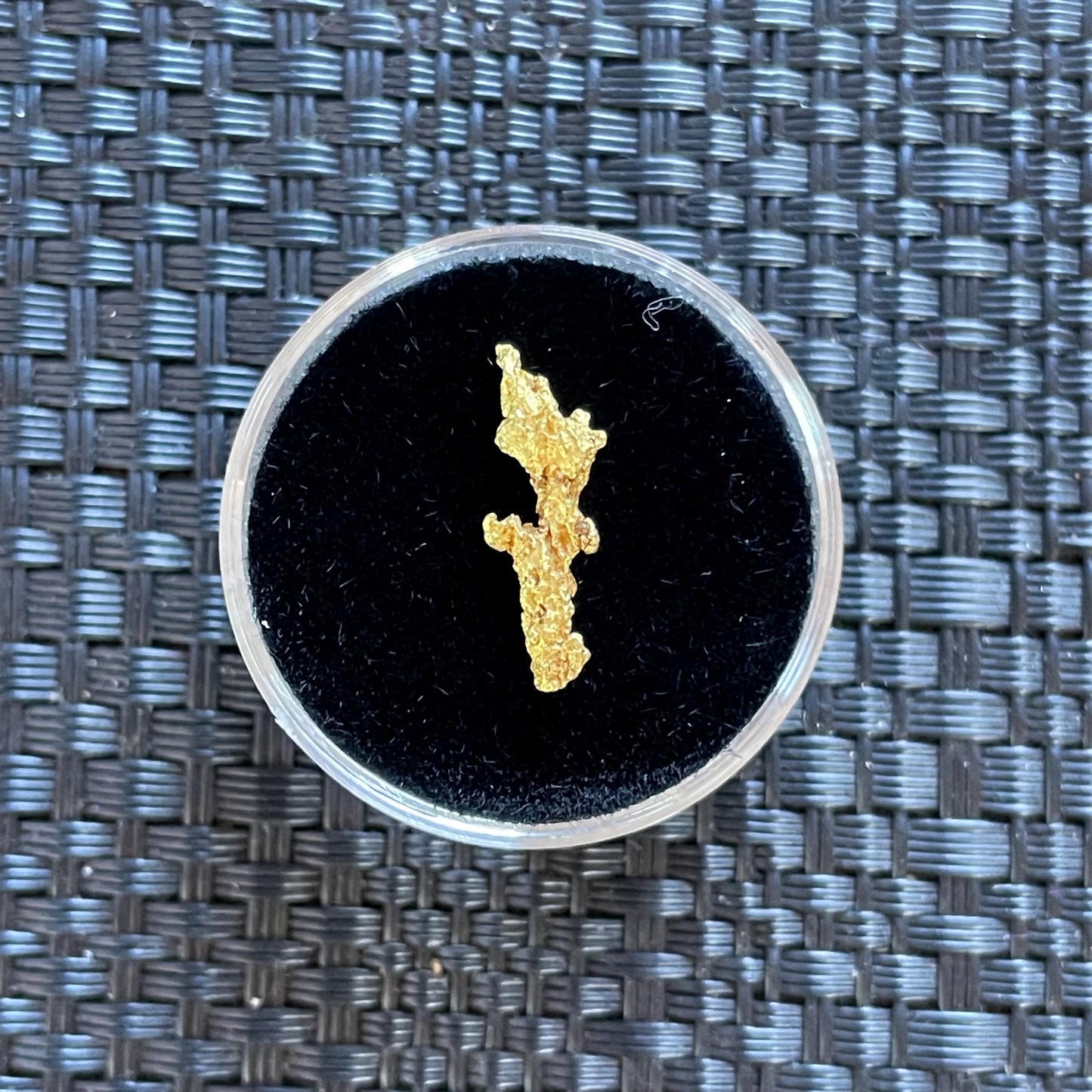 Natural 0.8 gram Hand Prospected West Australian Gold Nugget